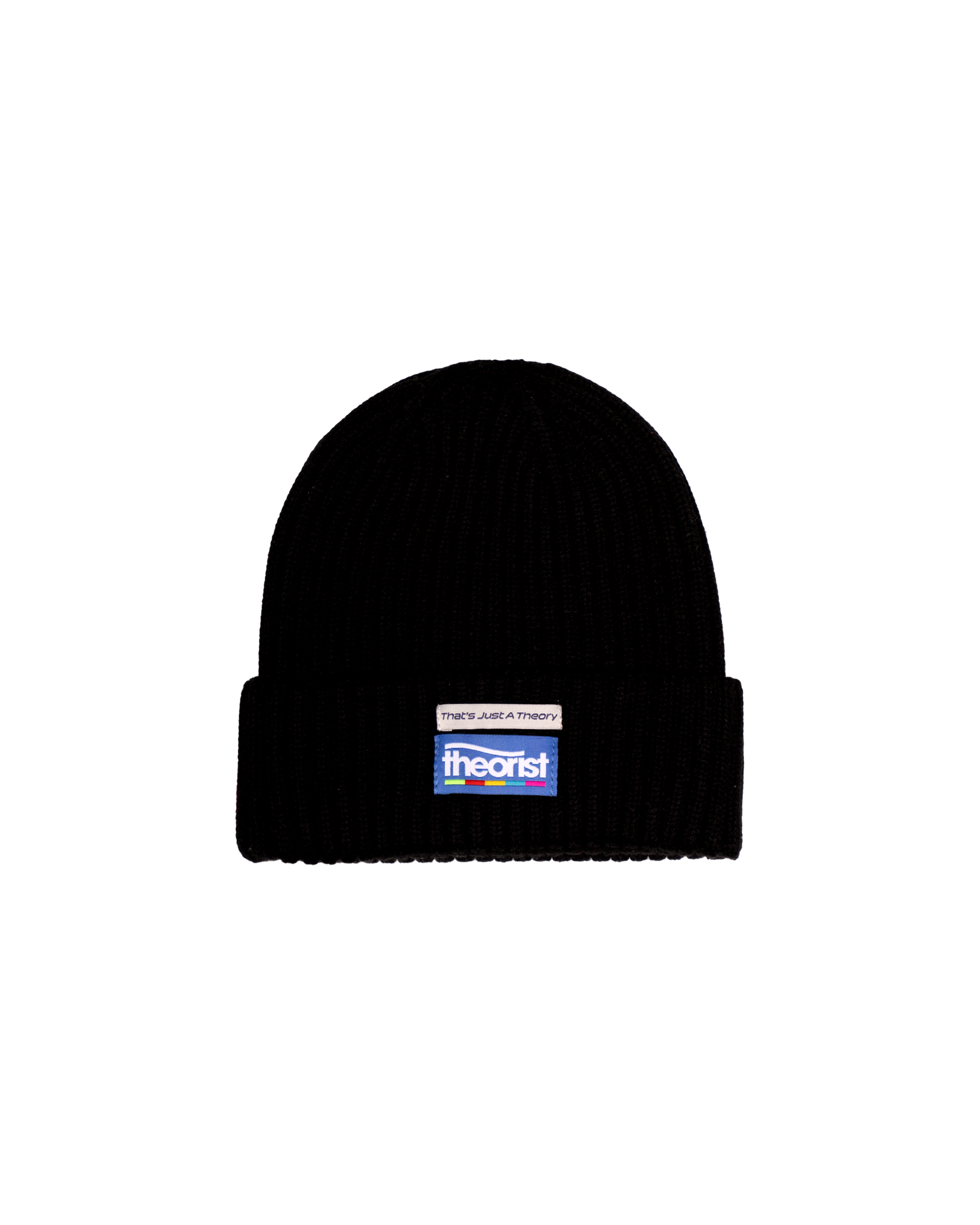 THEORIST© WINTER BEANIE